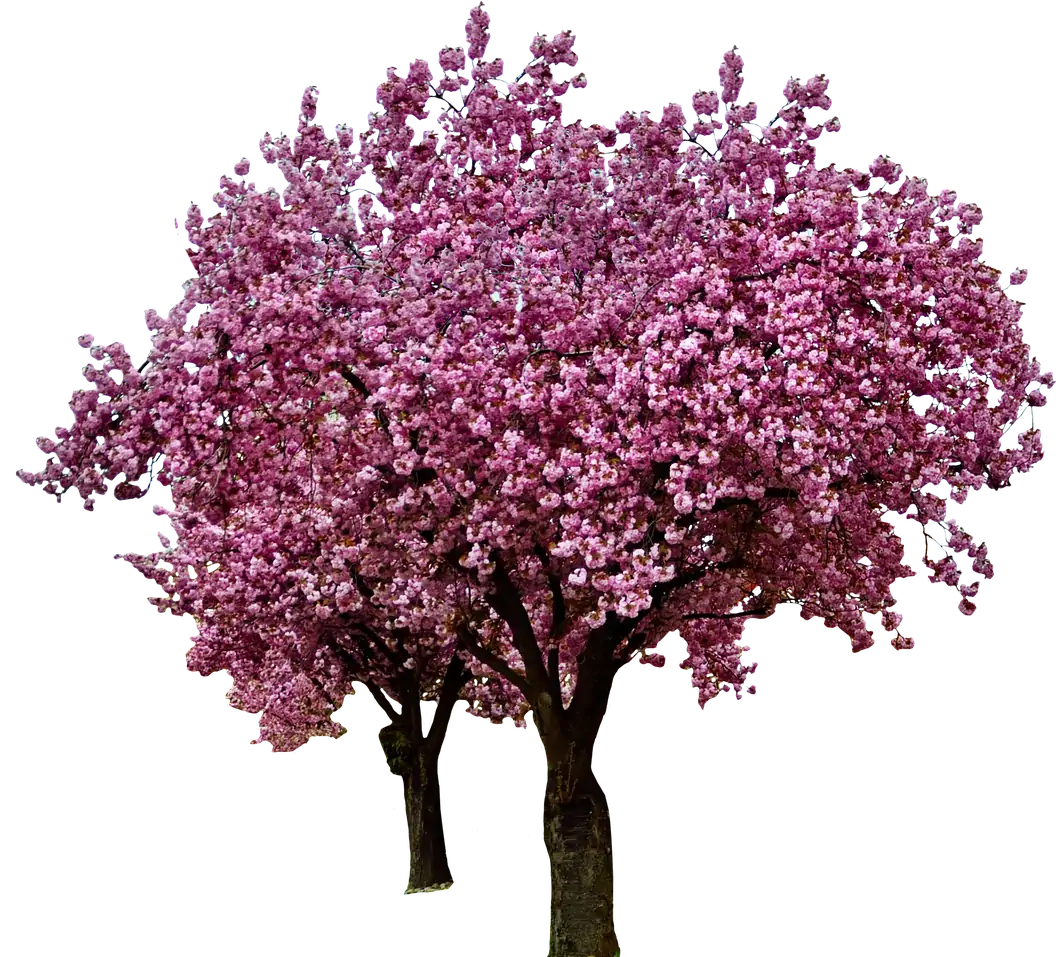 Tagesmutter mit Garten Tagesmutter mit Garten