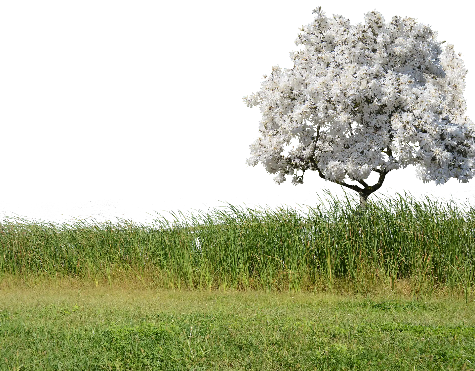 Garten Tagesmutter Enzweihingen Garten Tagesmutter Enzweihingen