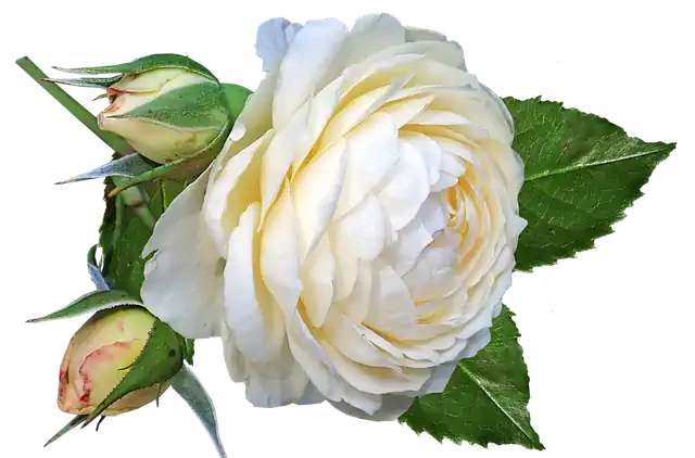 Blume Kinderbetreuung Vaihingen Enz