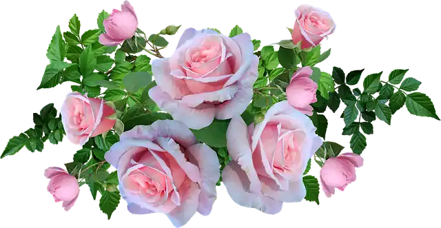 Blumen Kinderbetreuung Riet